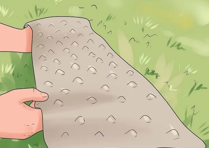 How to Keep Cats From Pooping in My Yard